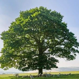 Meet your Posher, Martin